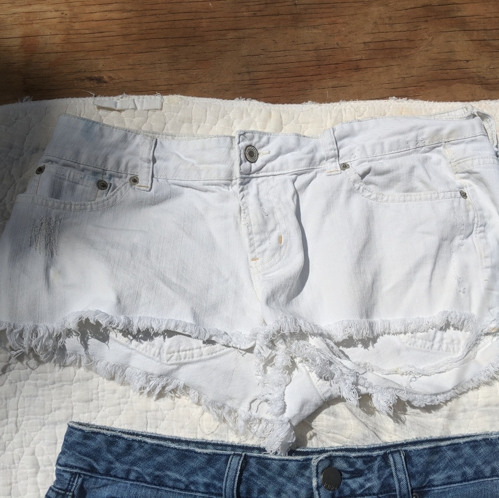 Shorts - Picture 8 of 8